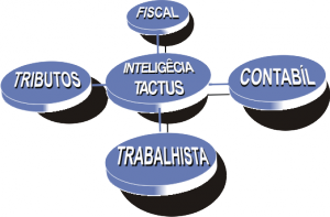 Inteligencia fiscal